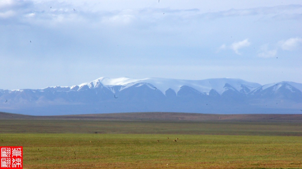 行摄青藏线－－－可可西里（4）