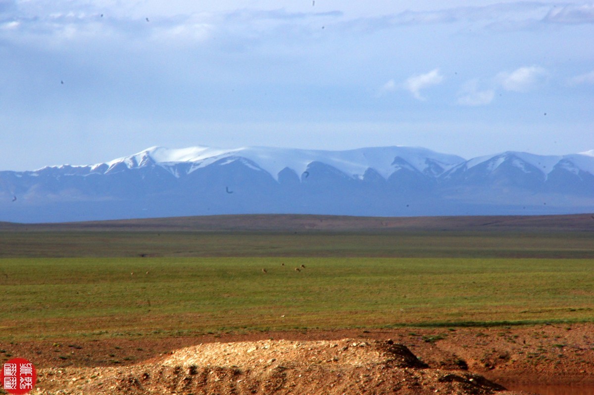 行摄青藏线－－－可可西里（4）