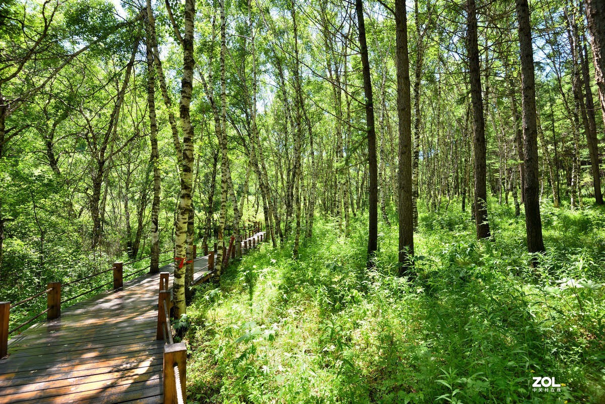 京西第一雾山--翠云山   2/2