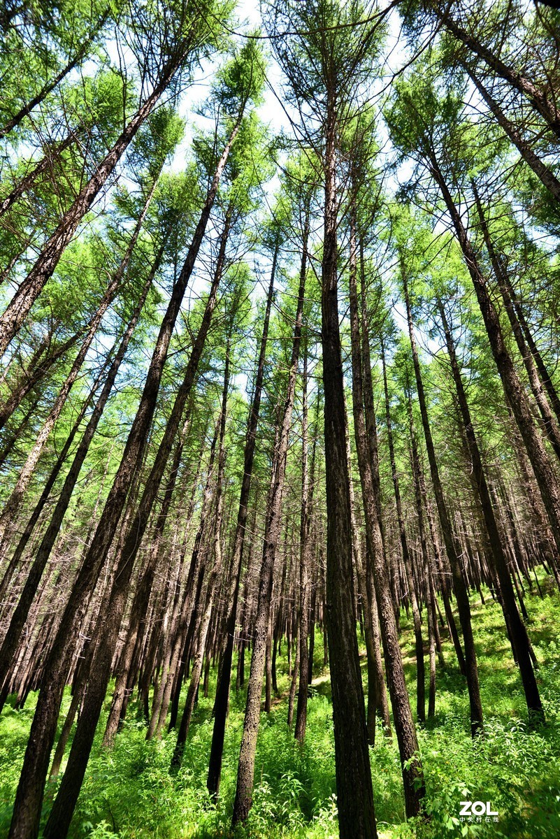 京西第一雾山--翠云山   2/2