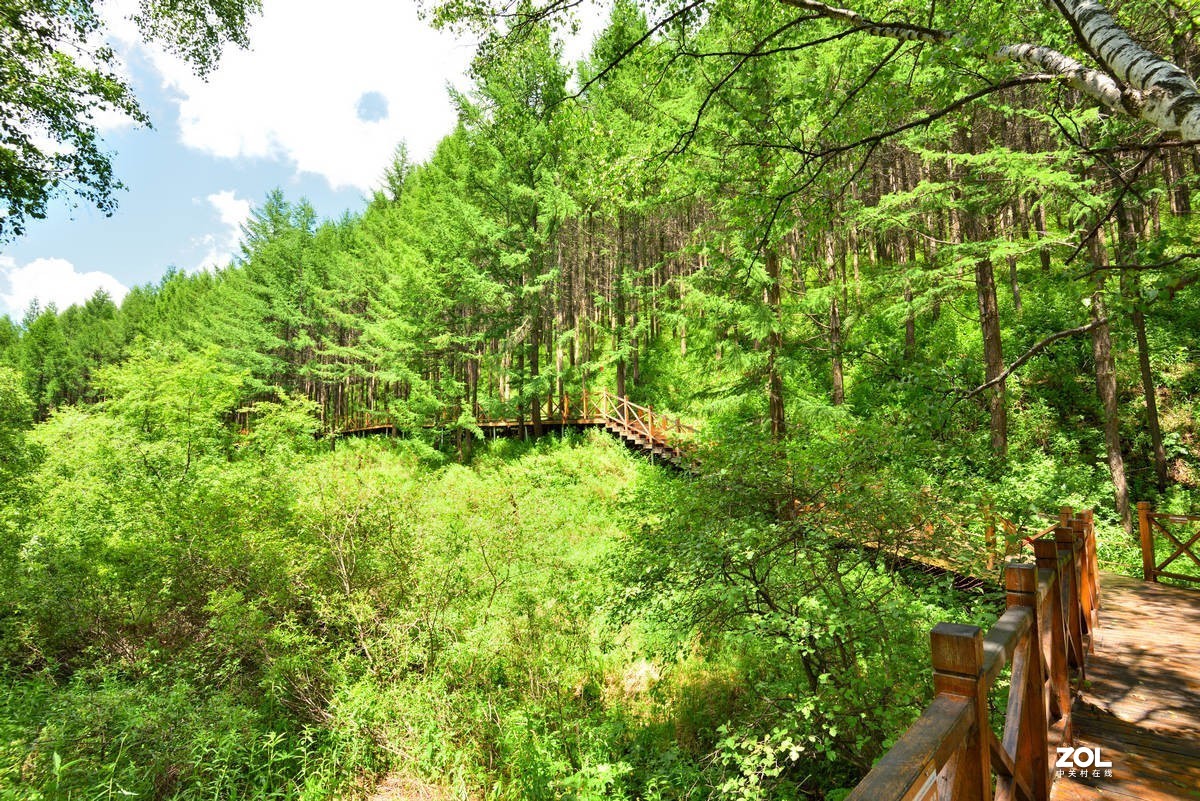 京西第一雾山--翠云山   2/2