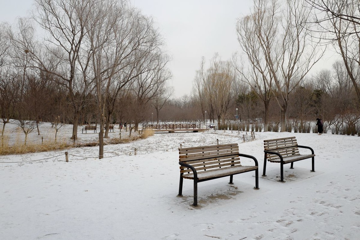 今日迎雪
