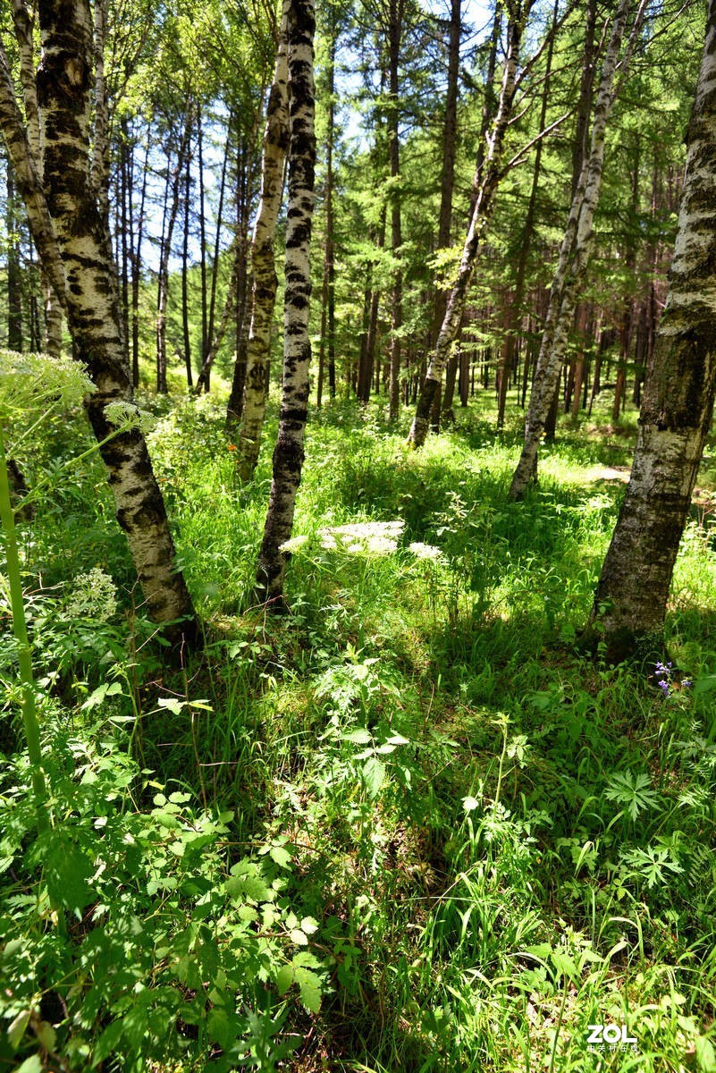 京西第一雾山--翠云山   2/2