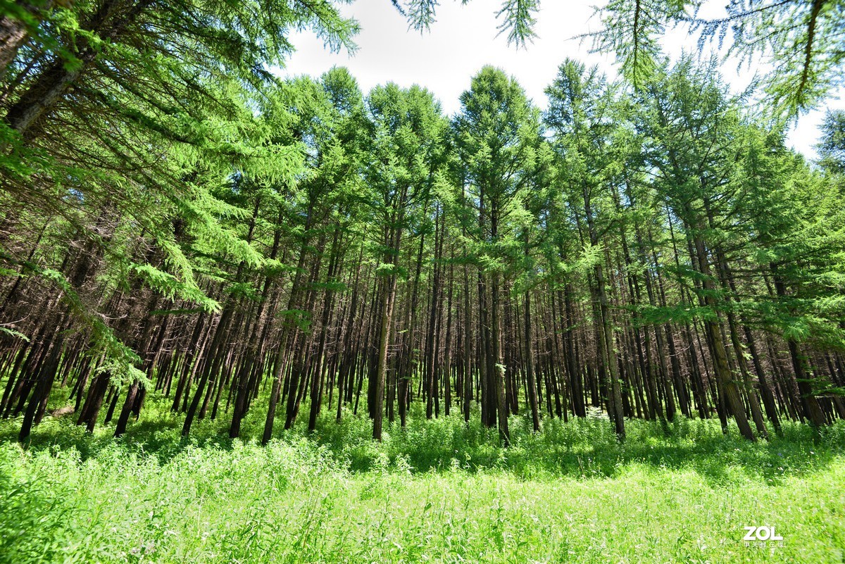 京西第一雾山--翠云山   2/2