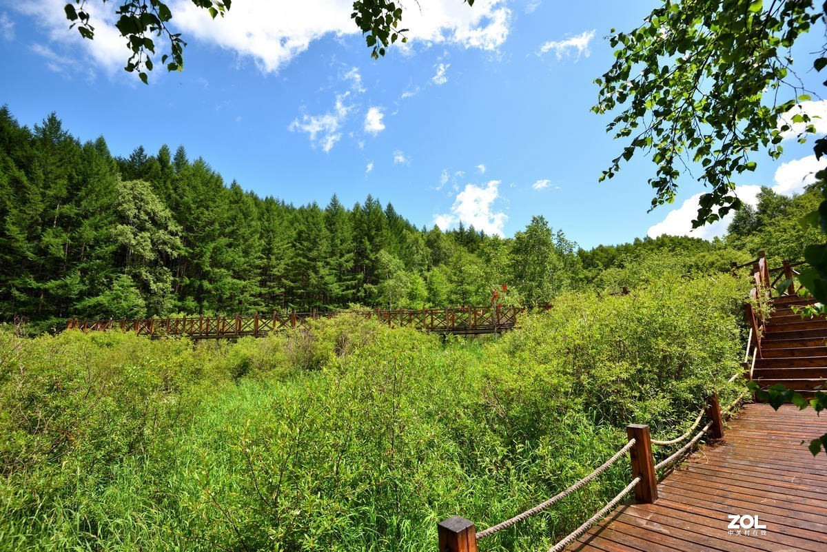 京西第一雾山--翠云山   2/2