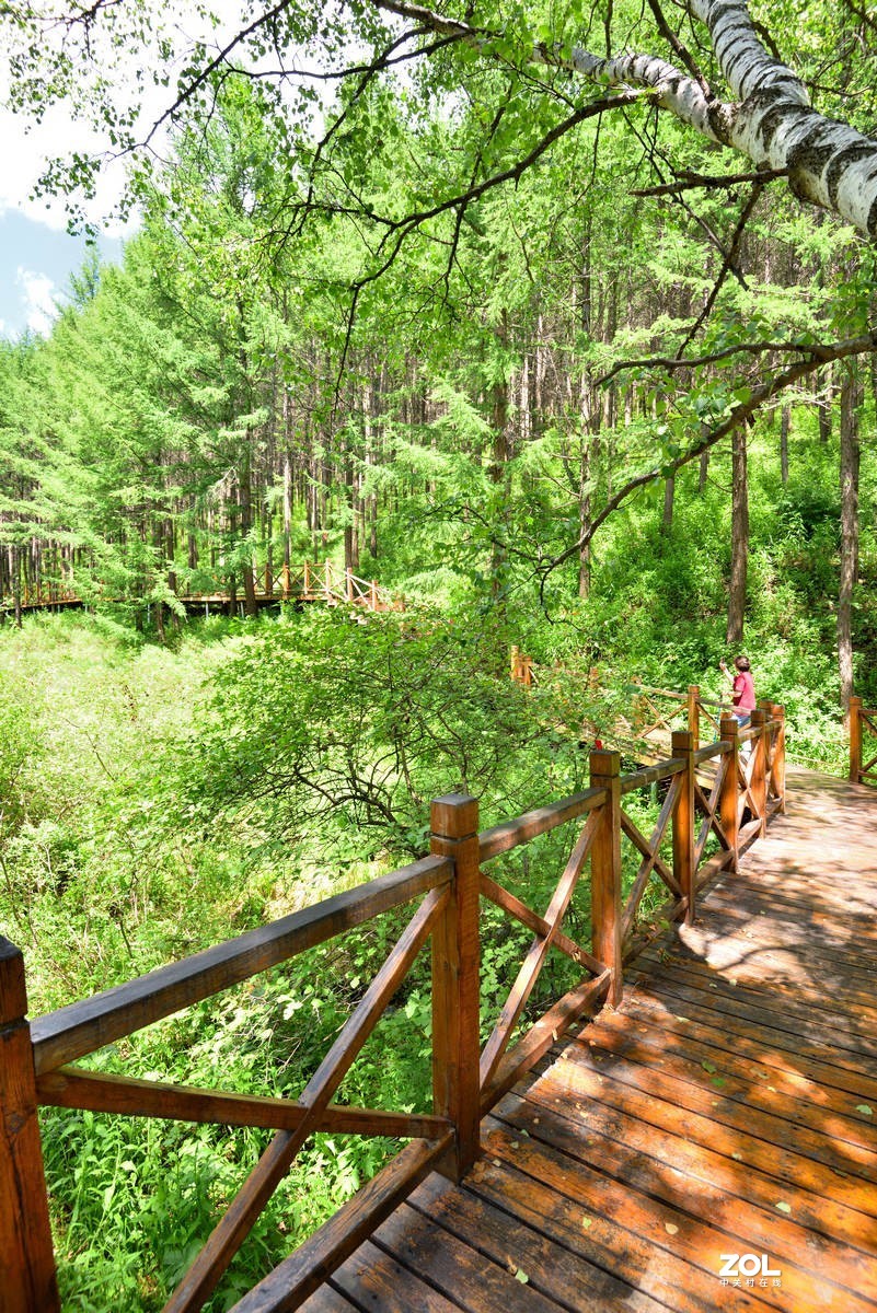 京西第一雾山--翠云山   2/2