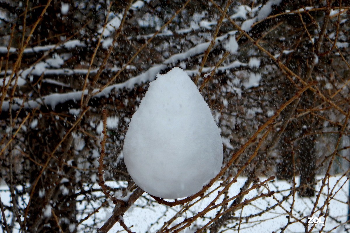春雪的演绎