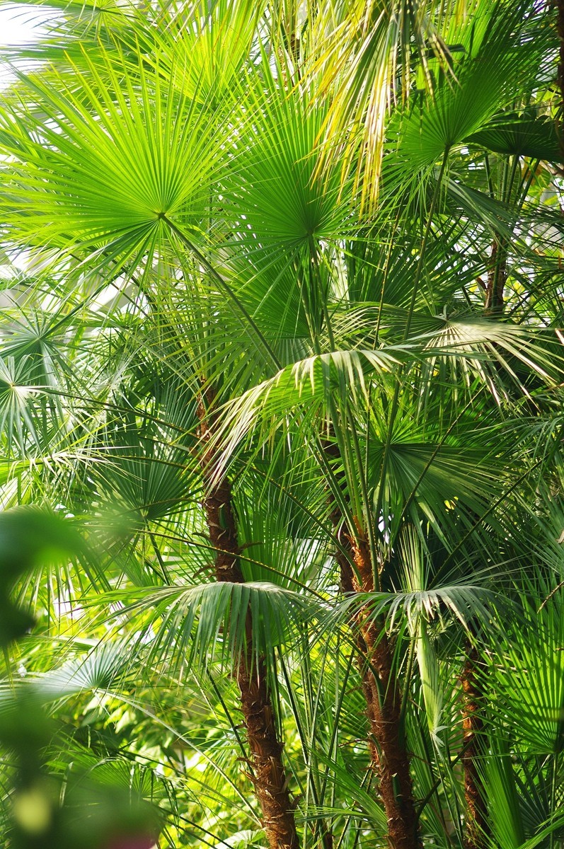 《宾得K7+图丽70-210试拍》