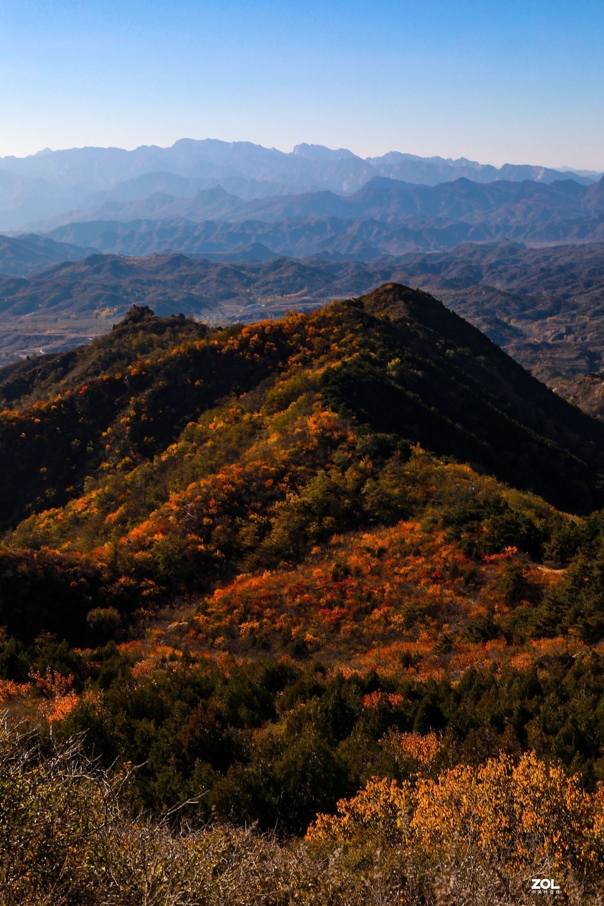 密云云峰山红叶