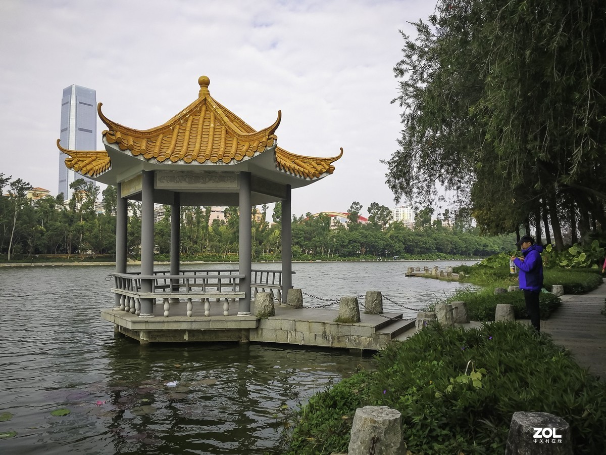 深圳洪湖公園掠影