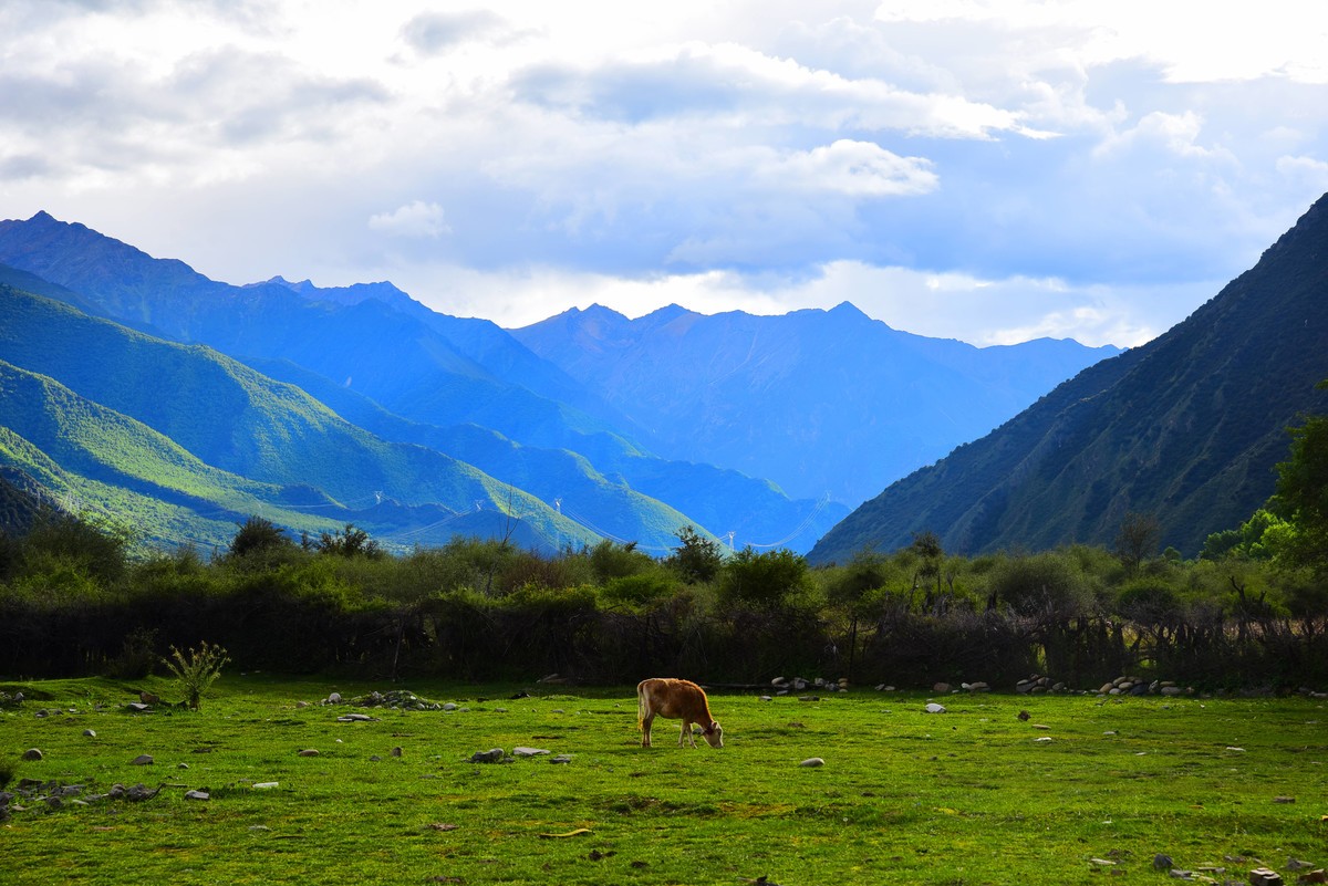 林芝—工布江达 G318风景四（D750+腾龙A007）
