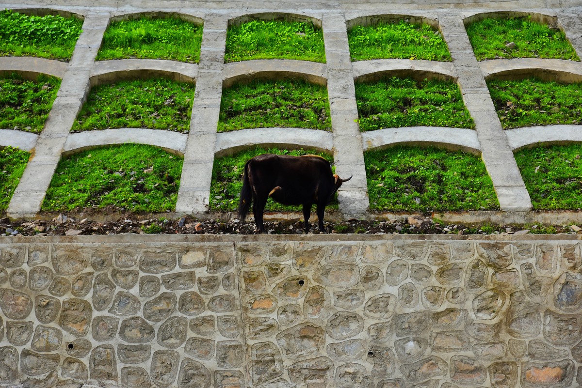林芝—工布江达 G318风景四（D750+腾龙A007）