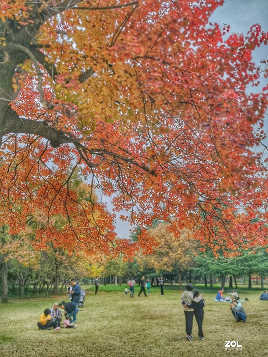 洛阳隋唐遗址公园的秋天
