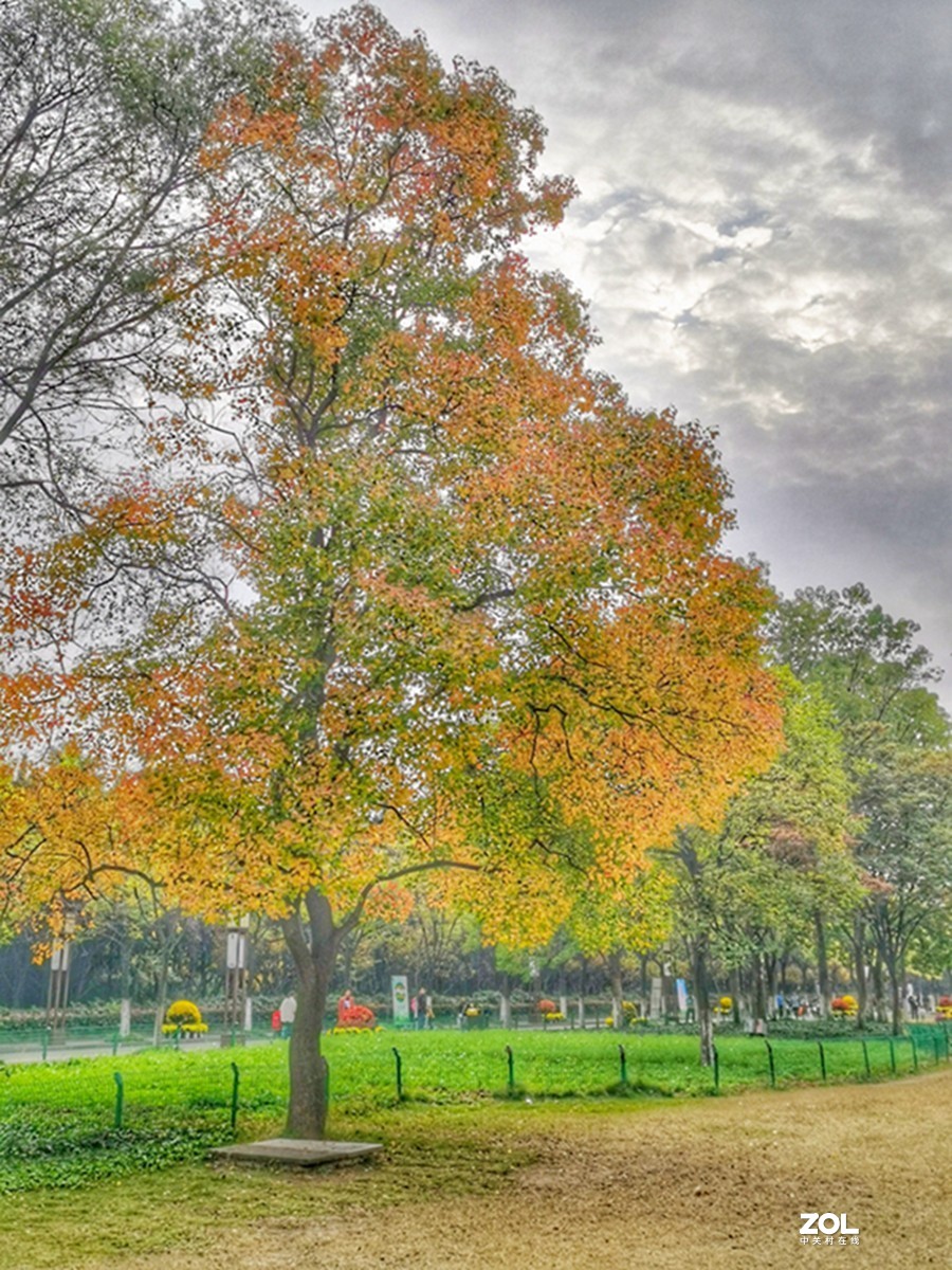 洛阳隋唐遗址公园的秋天