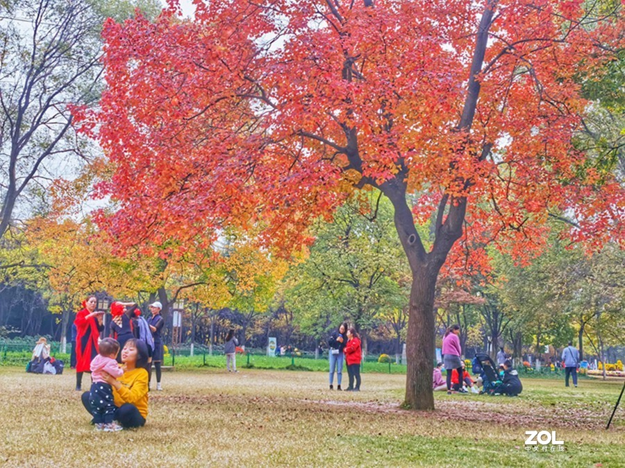 洛阳隋唐遗址公园的秋天
