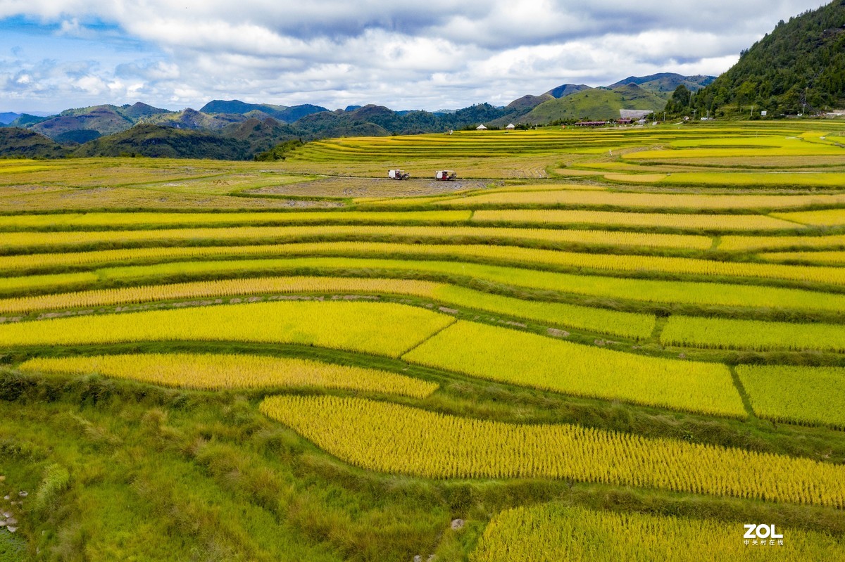贵阳市高坡田园风光