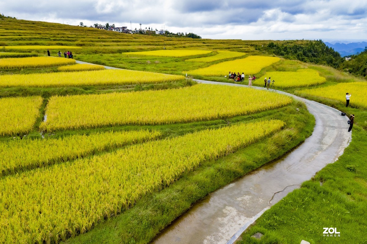 贵阳市高坡田园风光