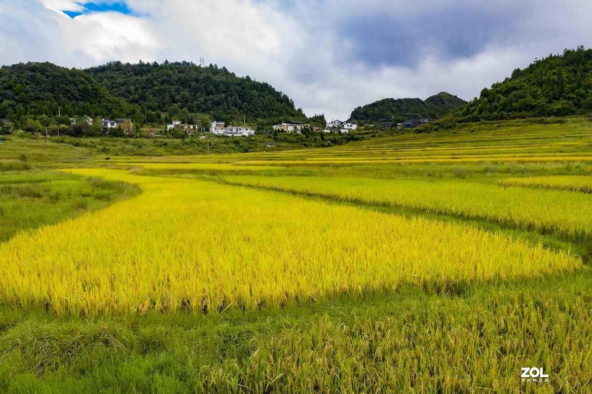 贵阳市高坡田园风光