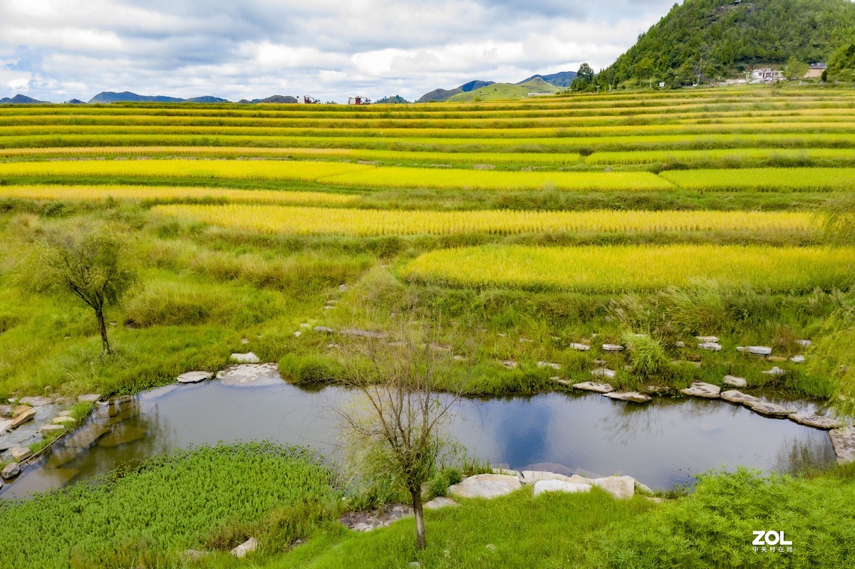 贵阳市高坡田园风光
