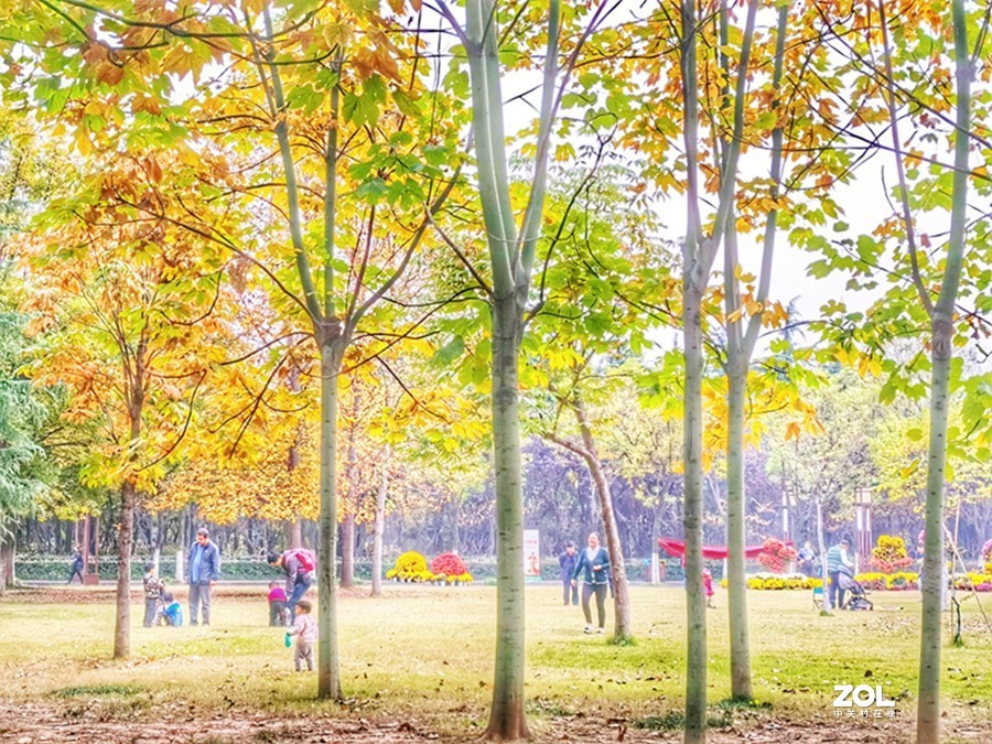 洛阳隋唐遗址公园的秋天