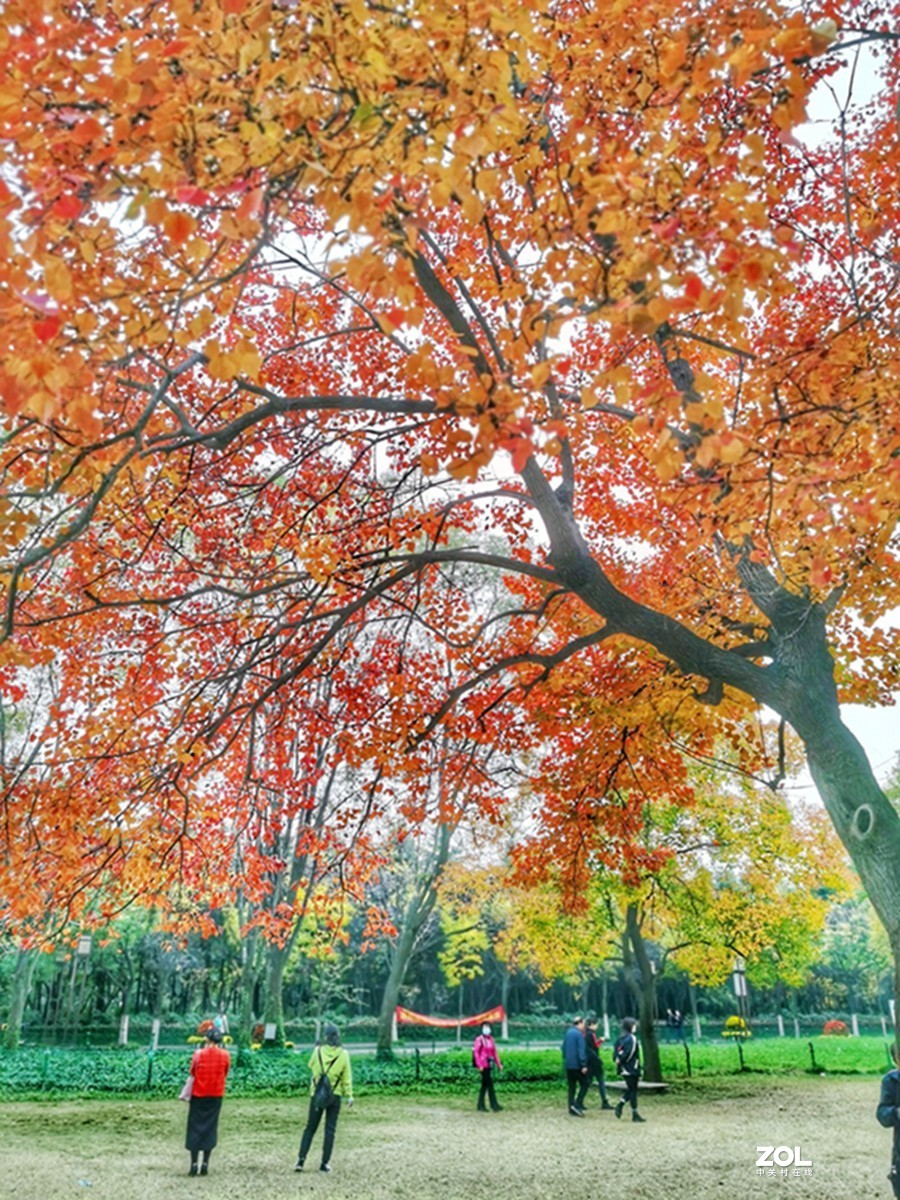 洛阳隋唐遗址公园的秋天