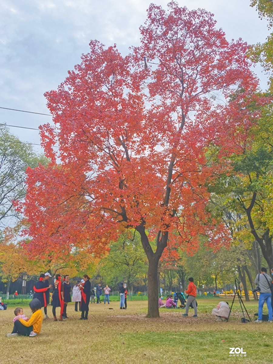 洛阳隋唐遗址公园的秋天