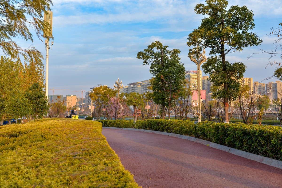 尼康D610与腾龙35 1.4镜头搭配试镜