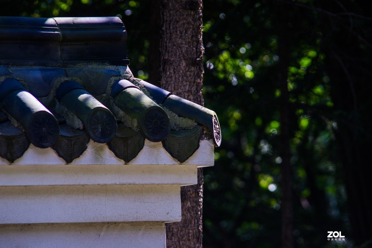 公园秋景（威达3.5/200）