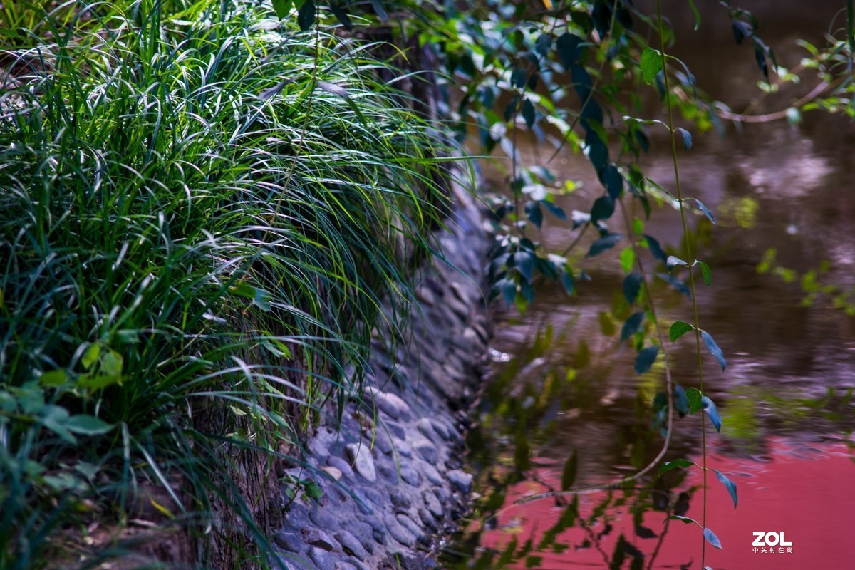 公园秋景（威达3.5/200）