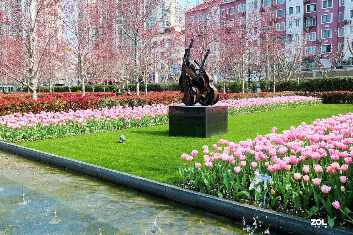 【春之恋】——摄于上海雕塑公园