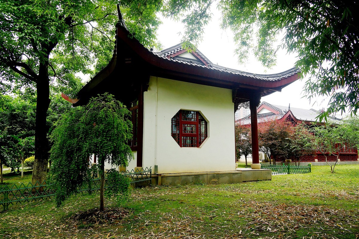 武漢印象堤角公園拾景