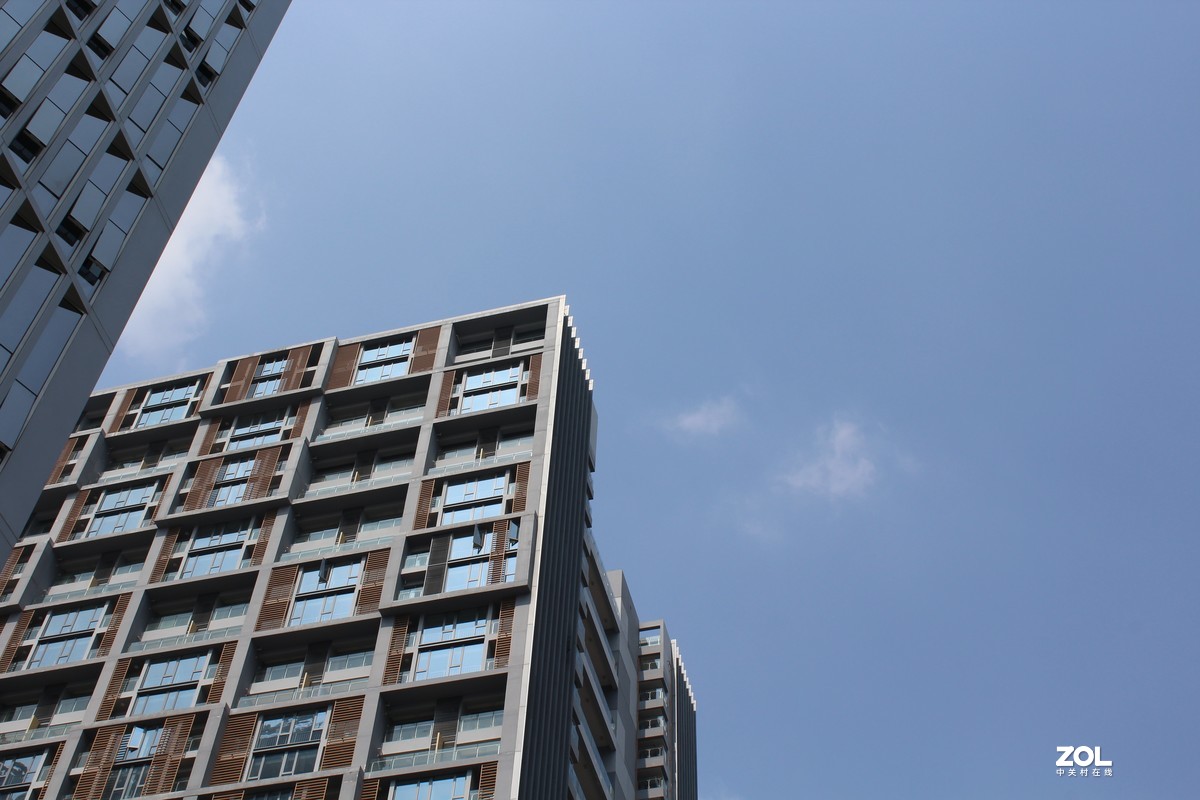 #微中有你#城市与花