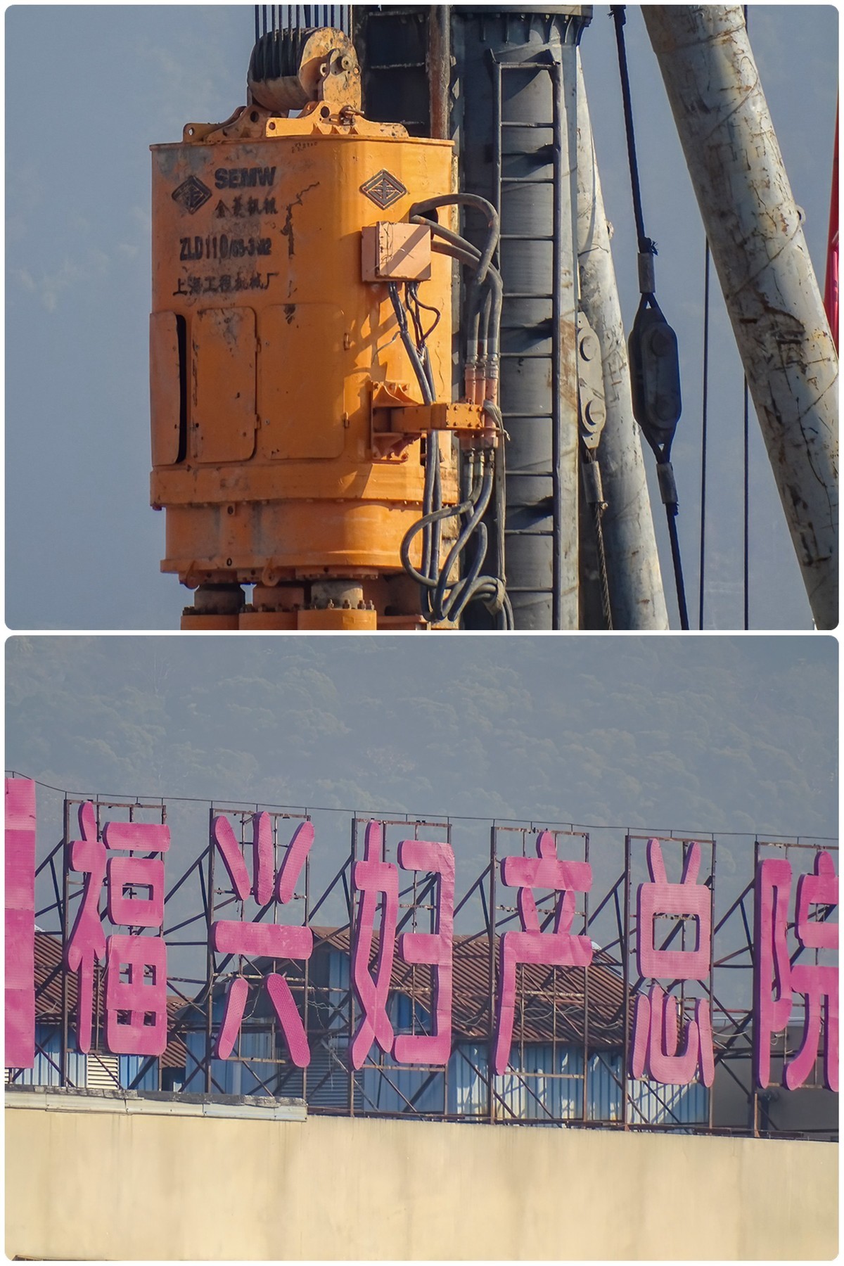 晴天。微距与远摄。