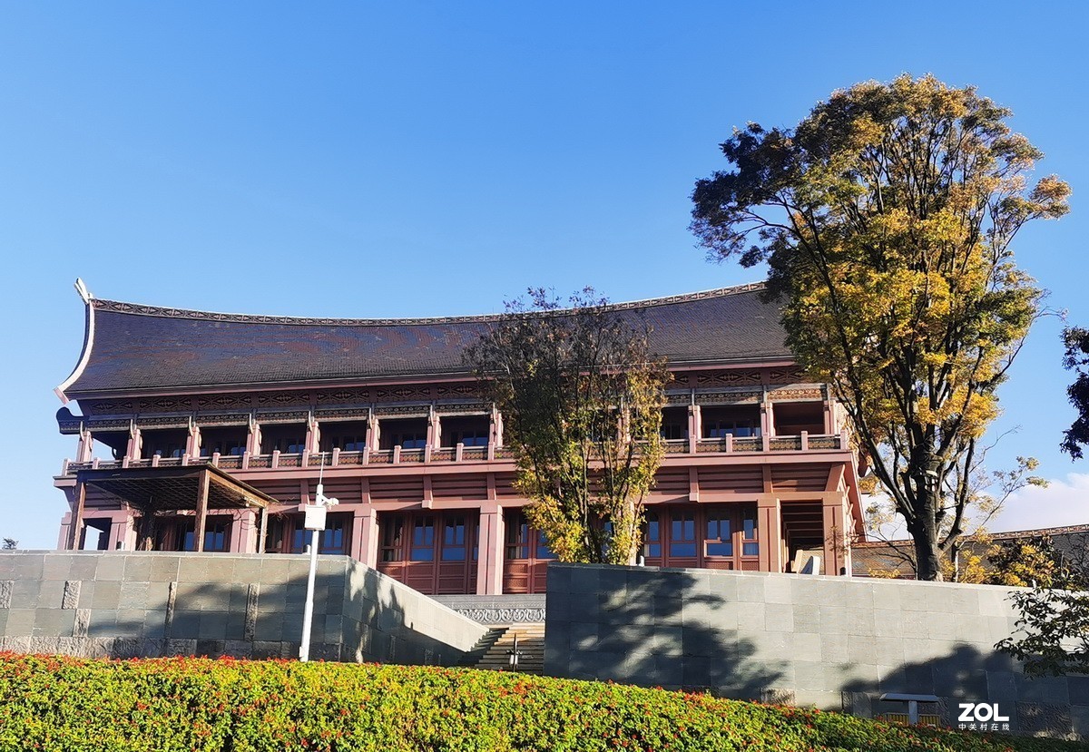 古滇名城樱花谷随拍（手机拍摄）