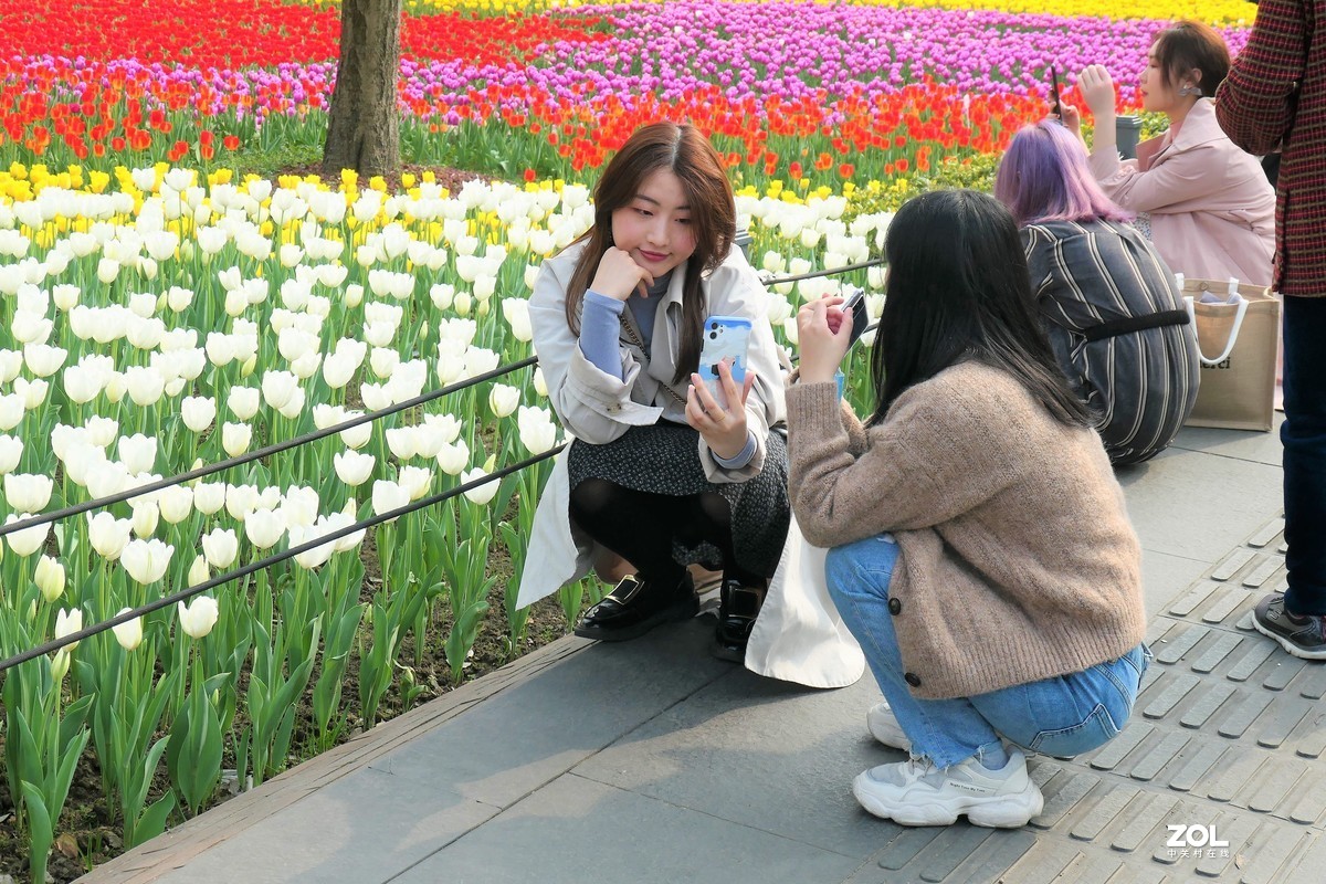 【春之恋】——摄于上海雕塑公园