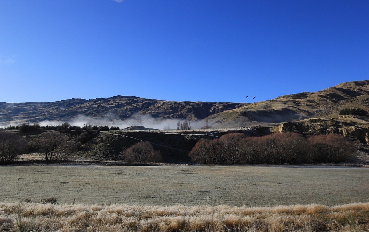 中关村在线摄影论坛