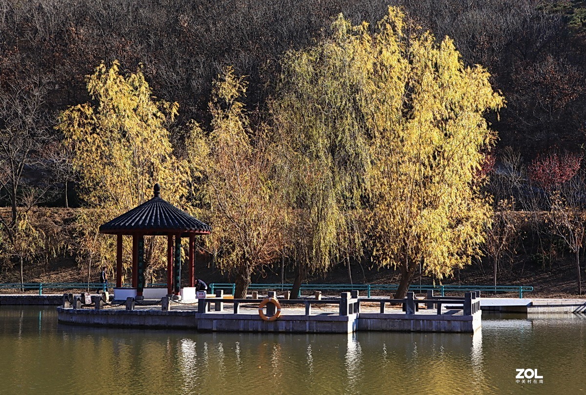神州游拍——初冬大连横山寺公园（9）