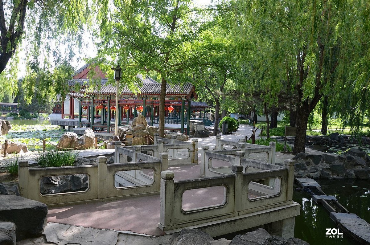 大 观 园---------美  景 。