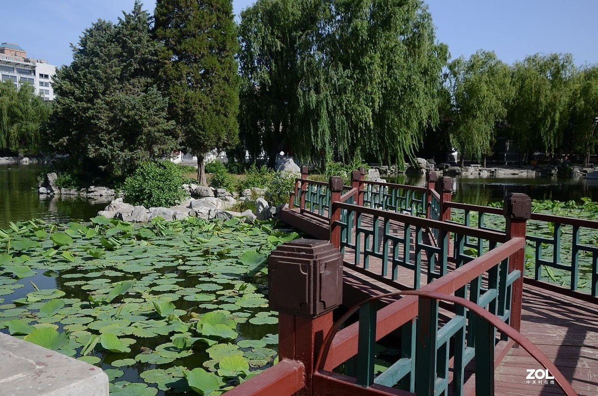 大 观 园---------美  景 。