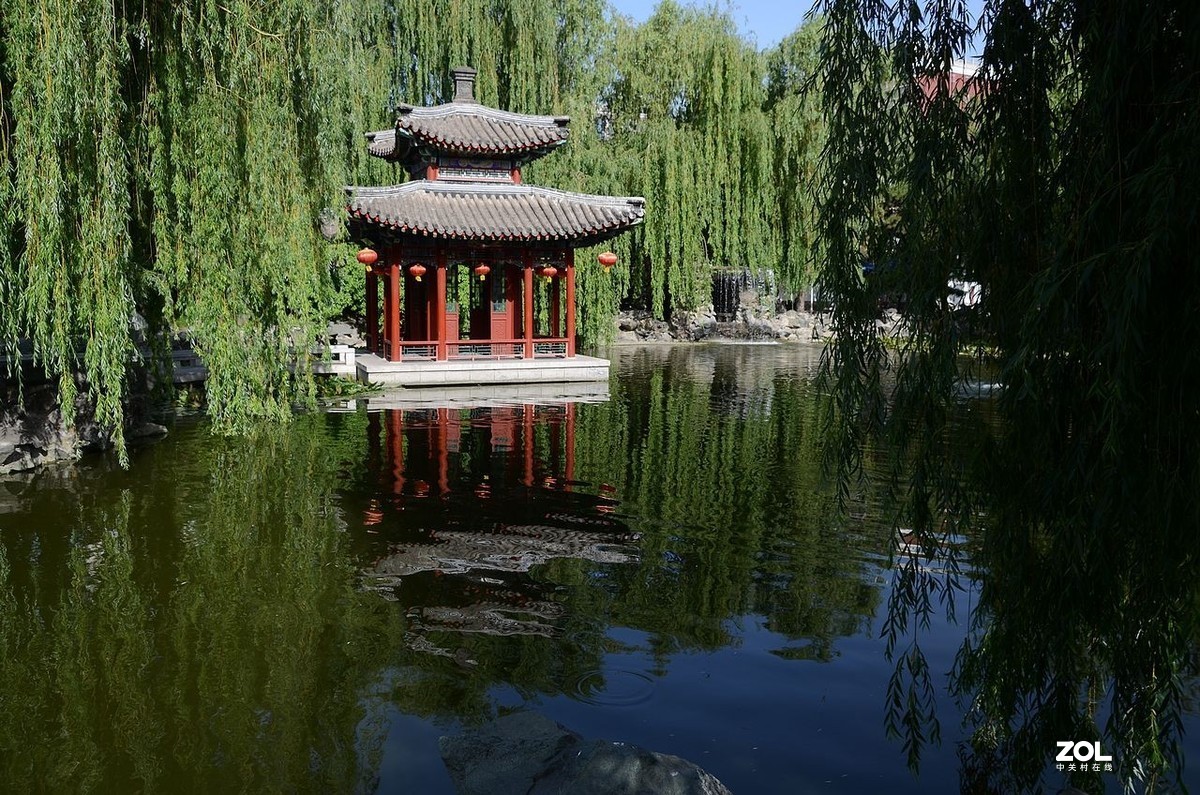 大 观 园---------美  景 。