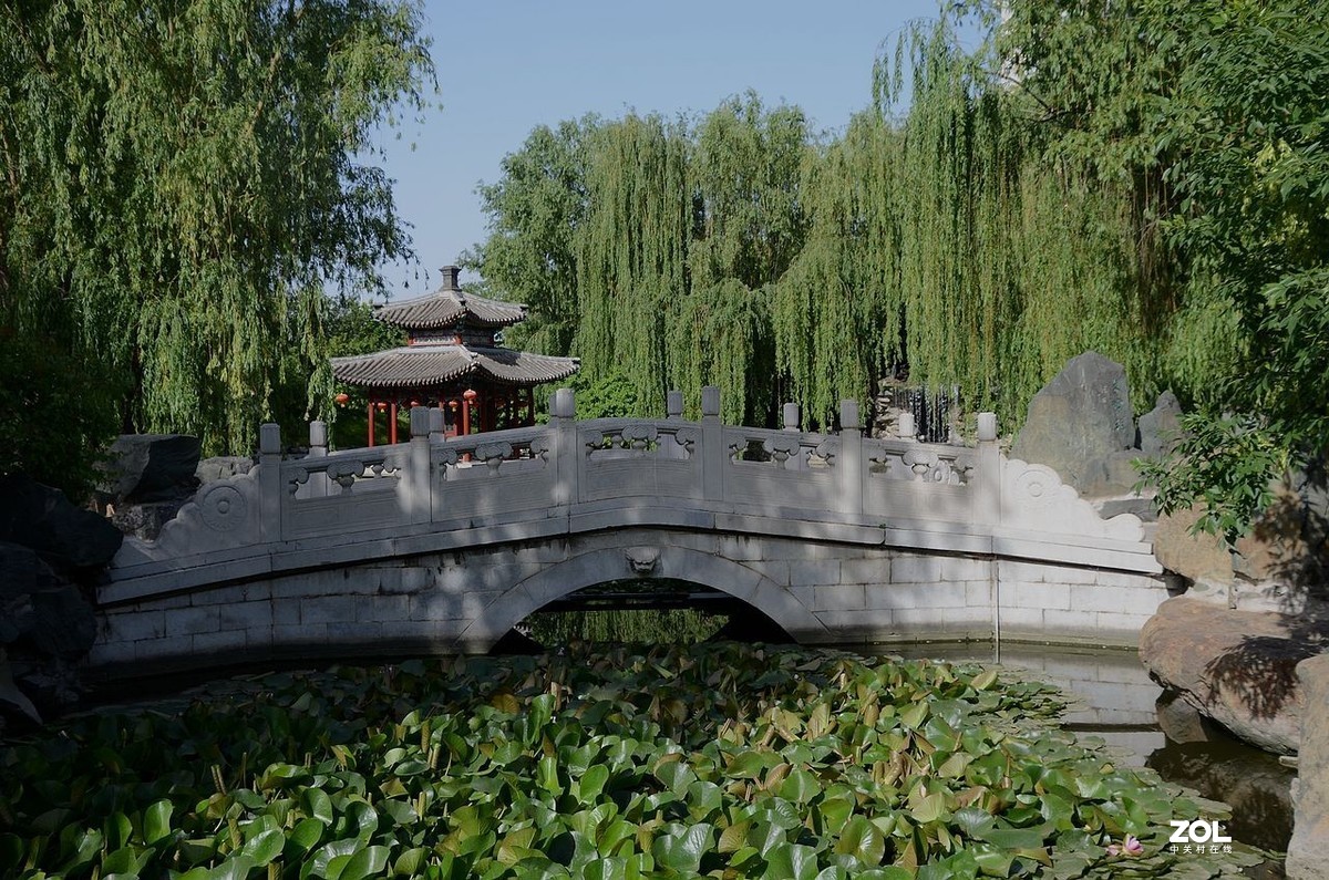 大 观 园---------美  景 。