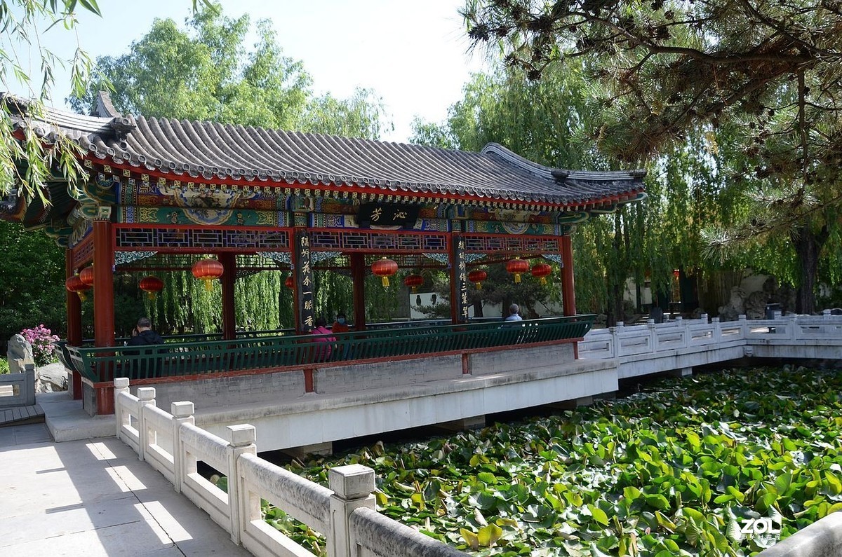 大 观 园---------美  景 。