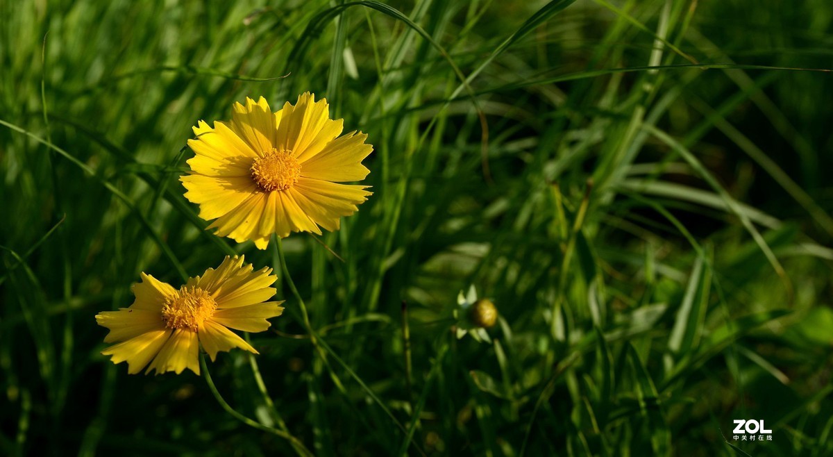 人文 风景 通吃的 镜头