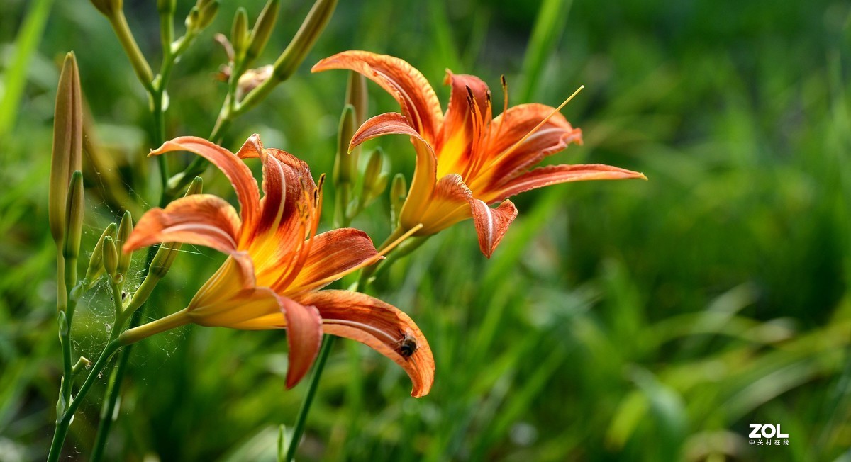 人文 风景 通吃的 镜头