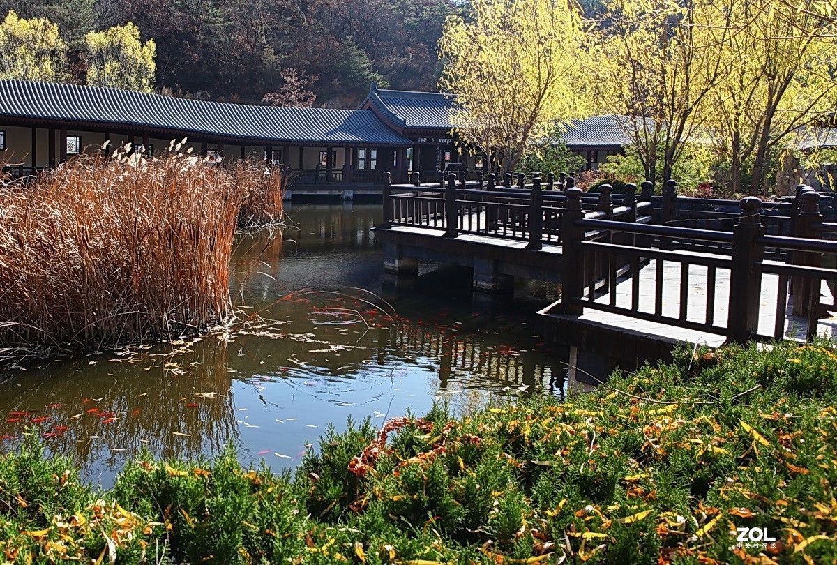神州游拍——初冬大连横山寺公园（9）