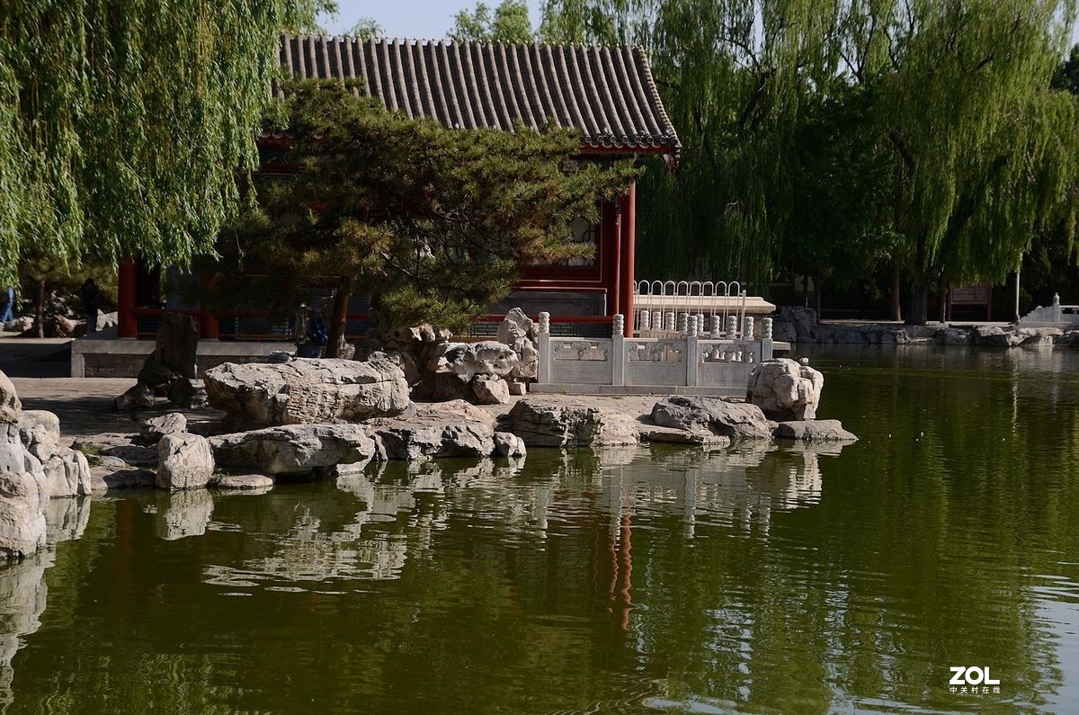 大 观 园---------美  景 。