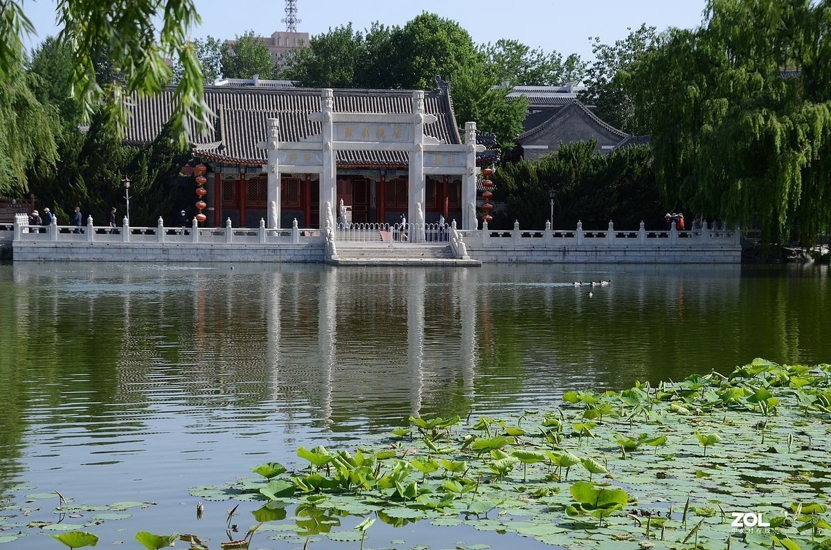 大 观 园---------美  景 。