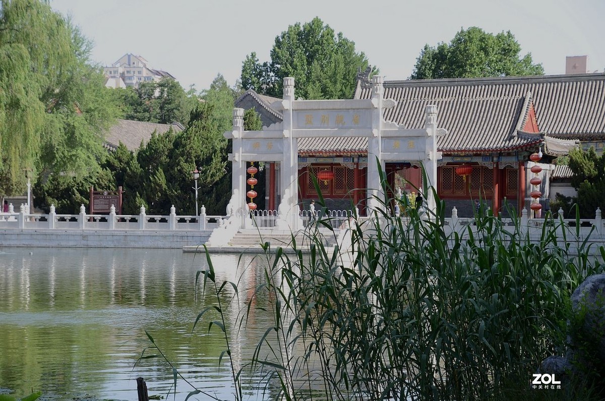 大 观 园---------美  景 。