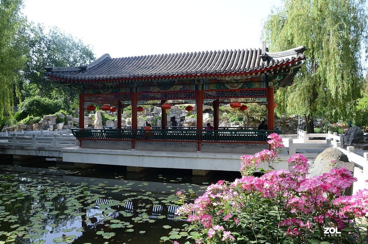 大 观 园---------美  景 。