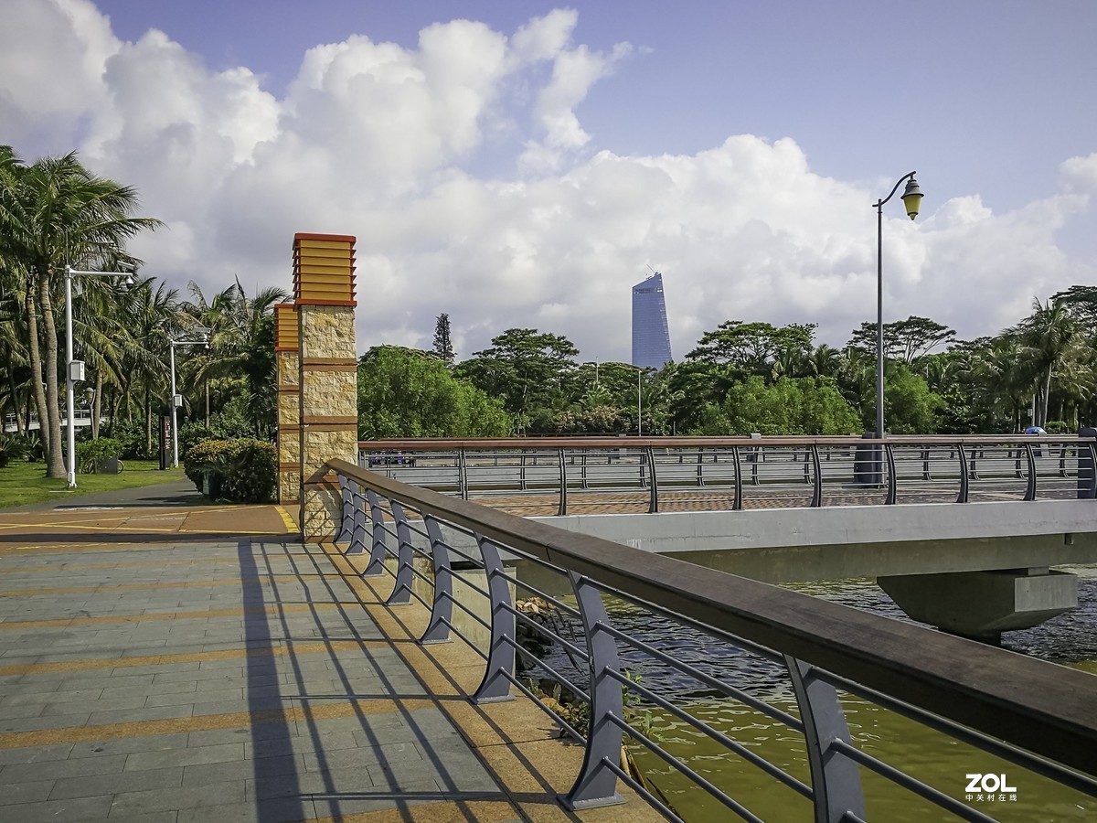 深圳湾红树林公园 ~ 掠影